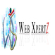 Websolusionz